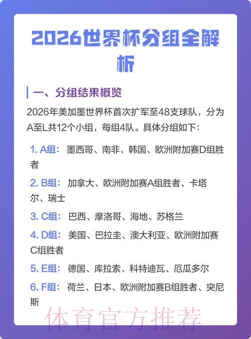2026年世界杯实时赛况深度解析