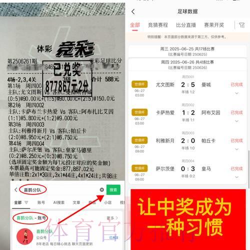 世界杯彩票停售之谜：深度解析原因与多方影响